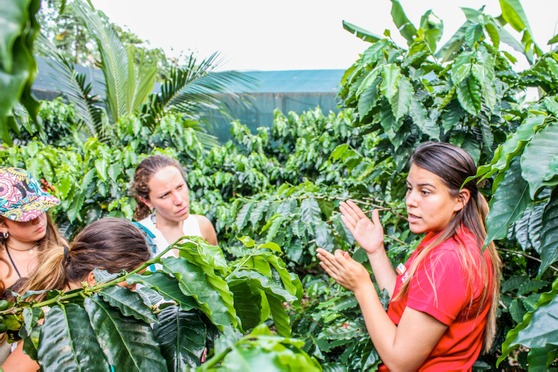 Opcional Finca Educativa Don Juan con almuerzo