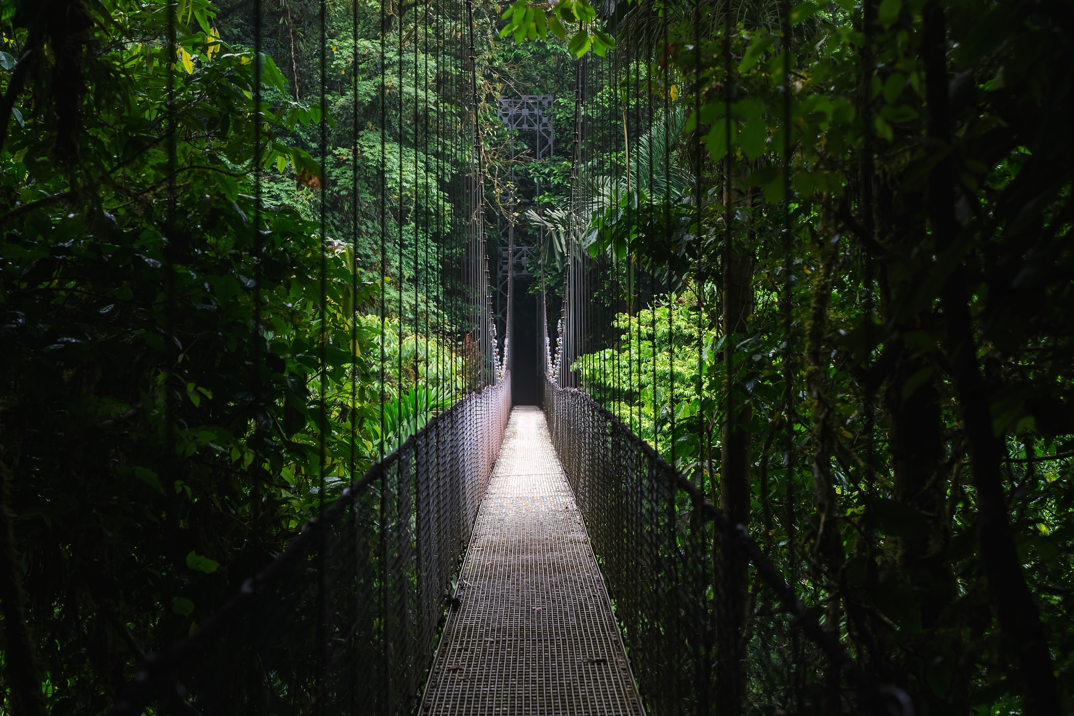 Opcional Parque Místico - Puentes colgantes
