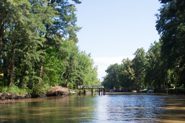 Delta del Tigre