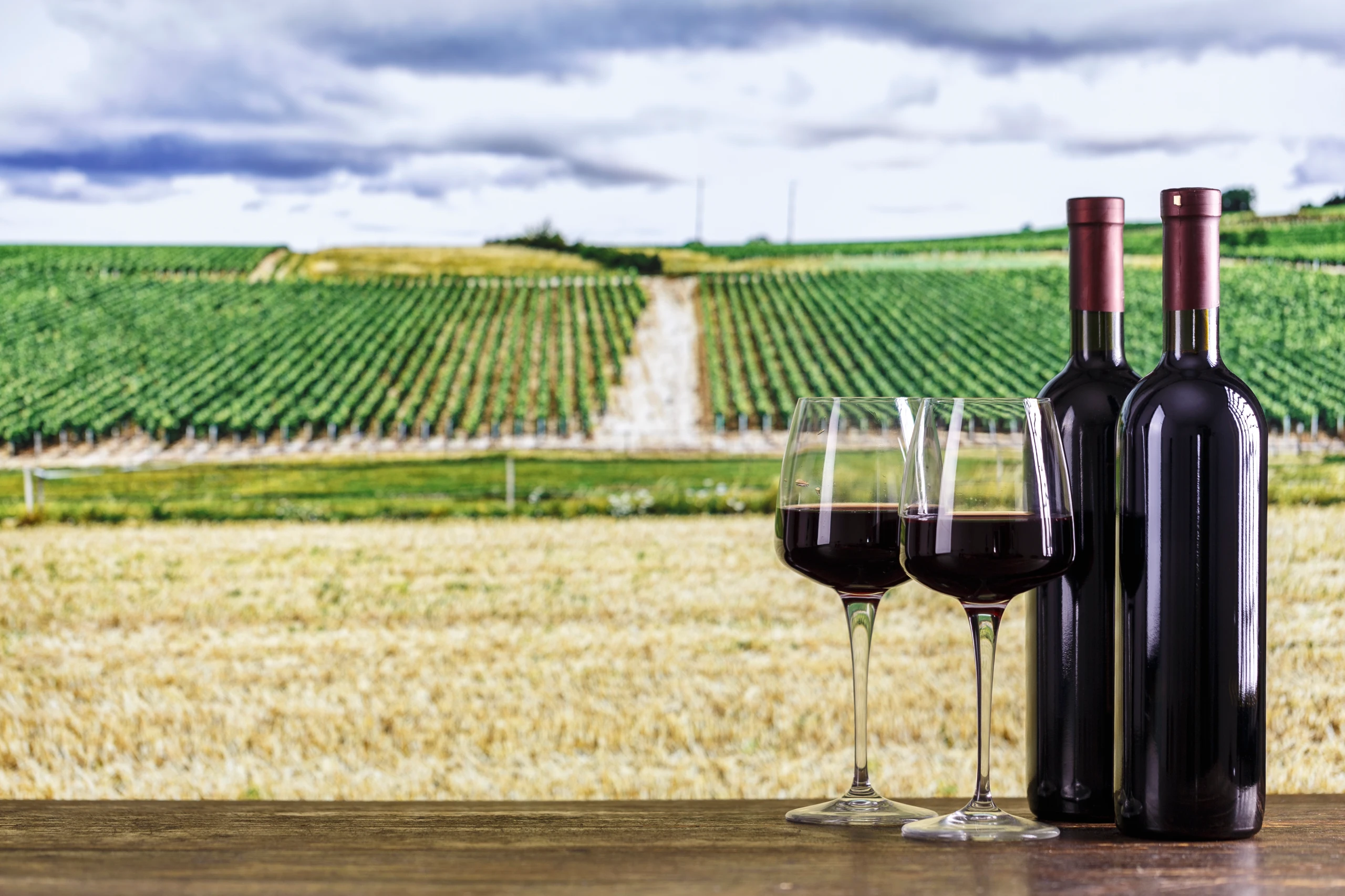 Visita Bodega San Gimignano