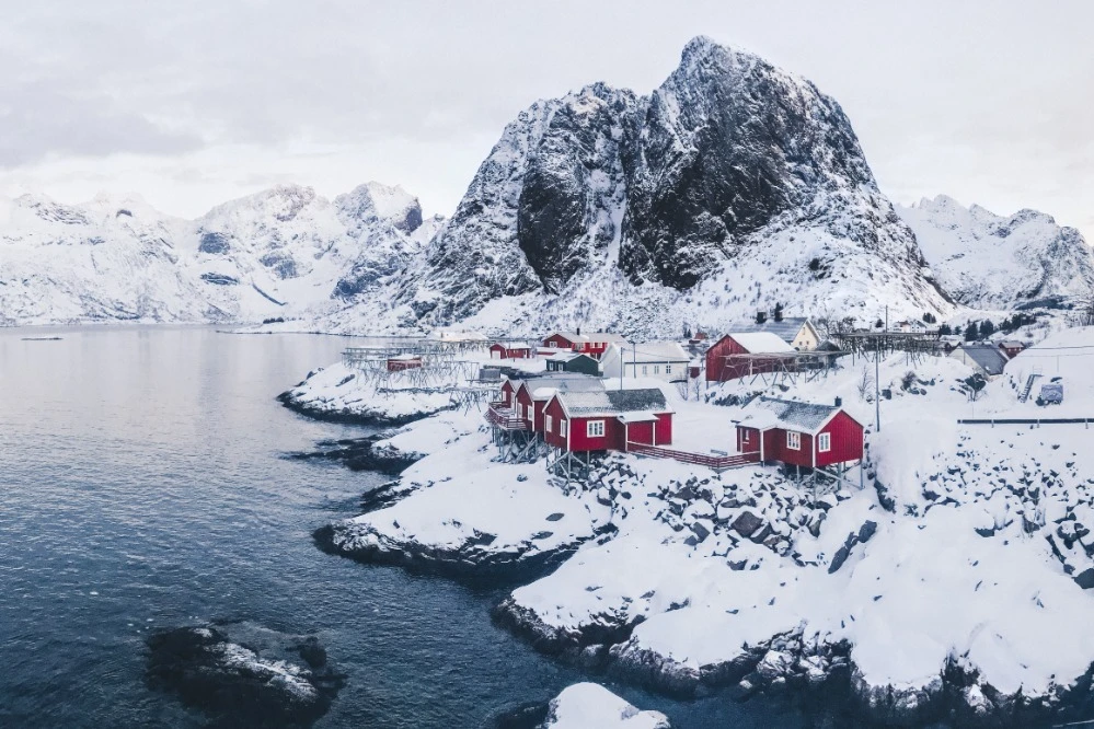 Reine