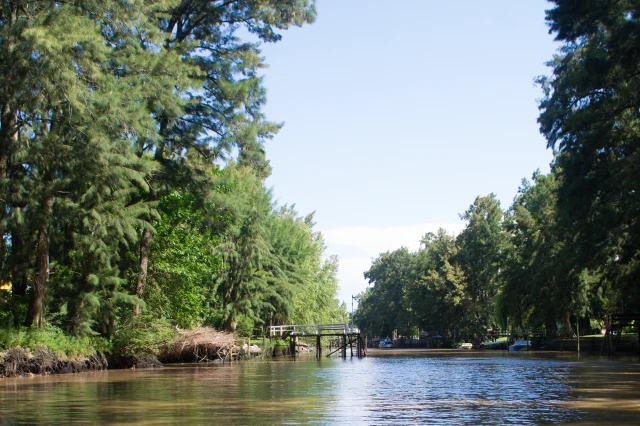 Delta del Tigre