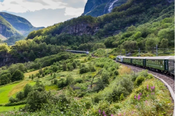 Tren de Flåm