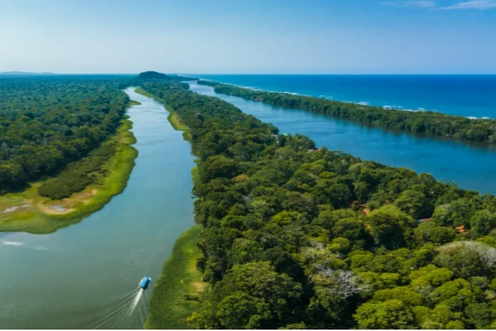 Parque Nacional de Tortuguero
