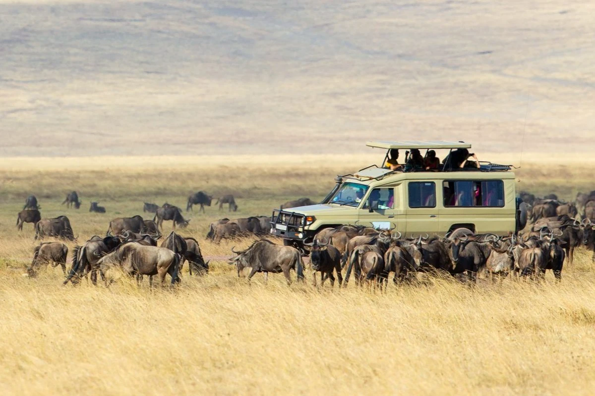 Safari en el Serengeti