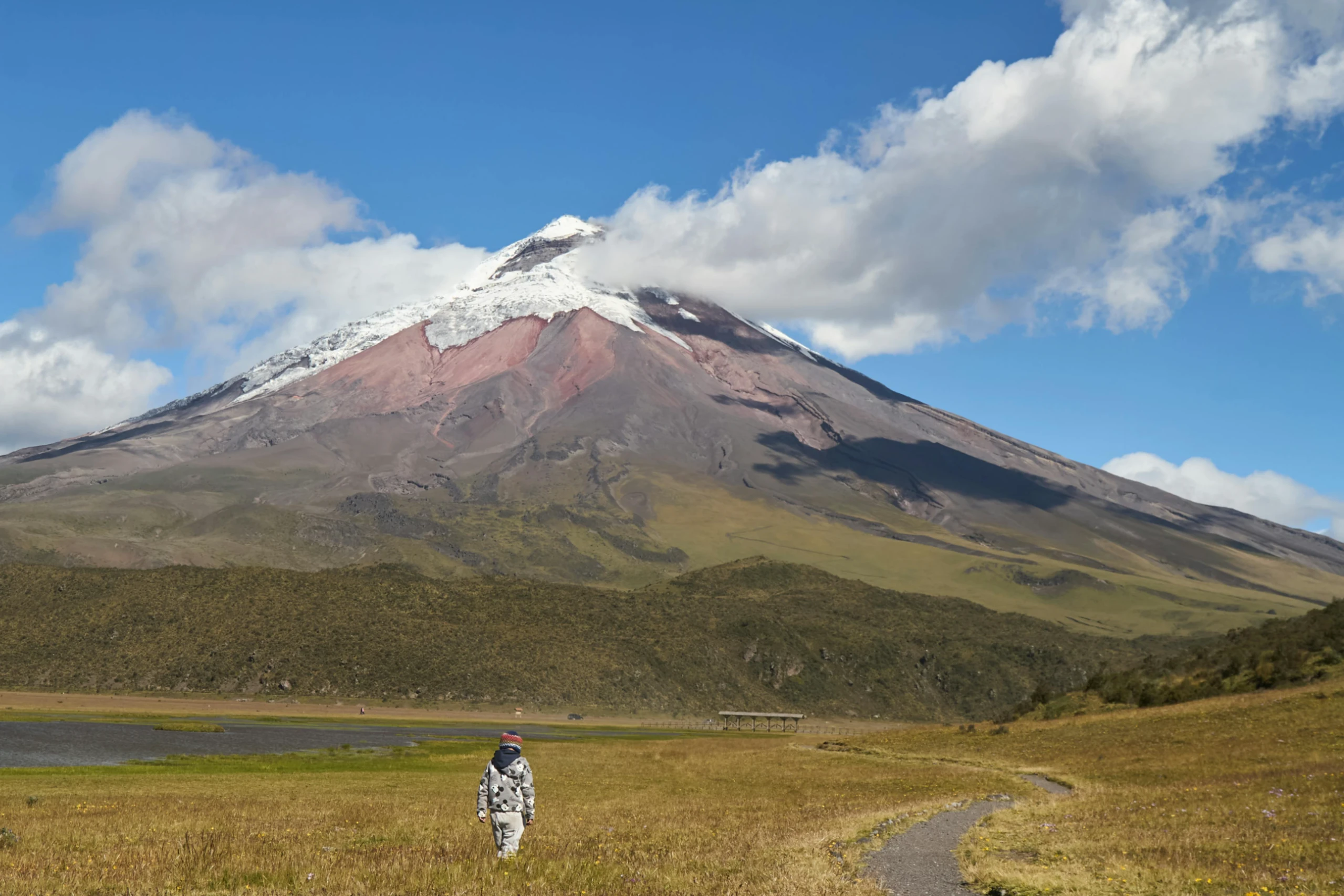 Avenida de los Volcanes