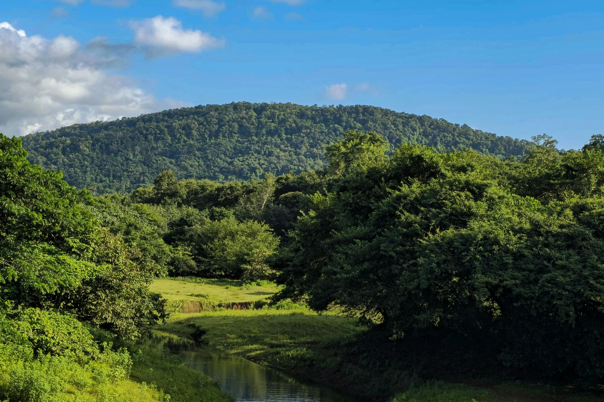 Excursión al Parque Nacional Chagres