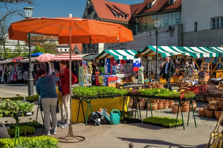 Mercados y vida local en Liubliana