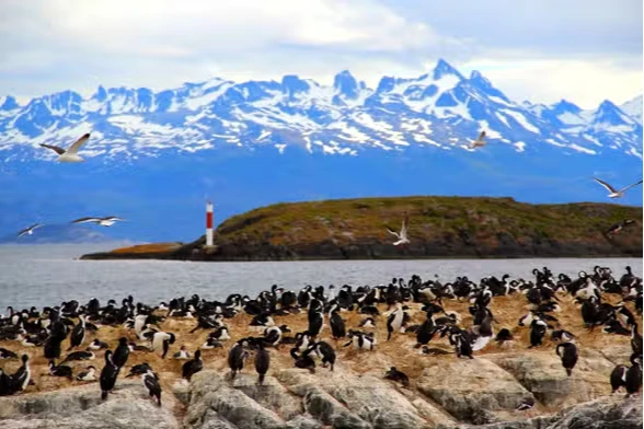 Opcional: Navegación por el Canal Beagle