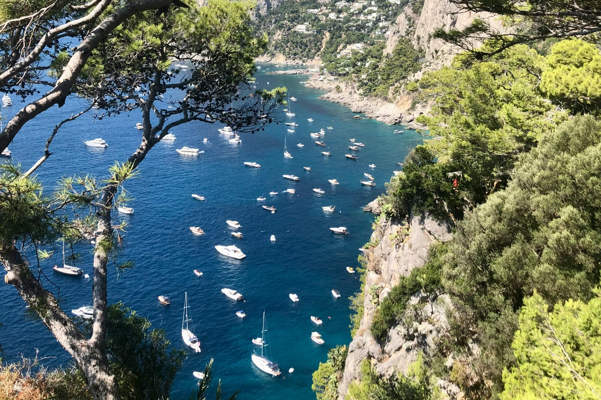 Capri