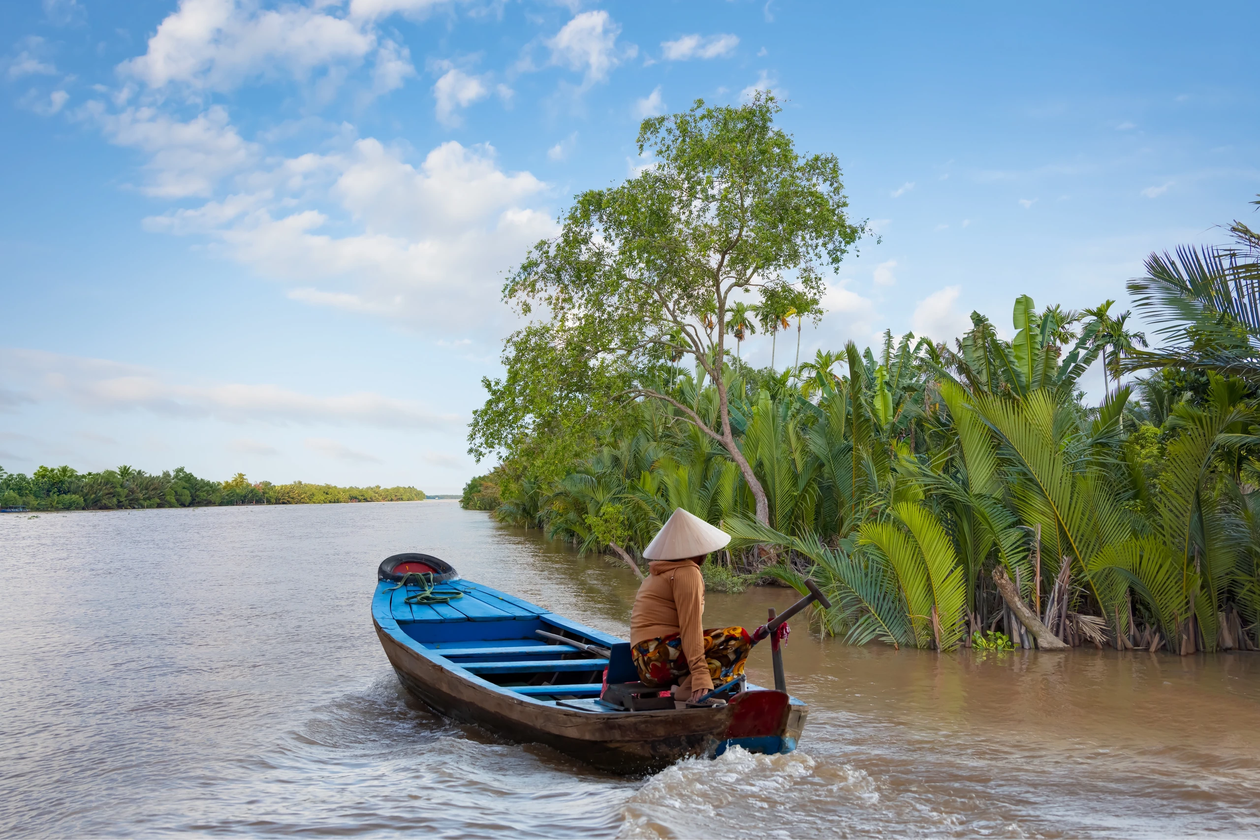 Opcional Delta del Mekong