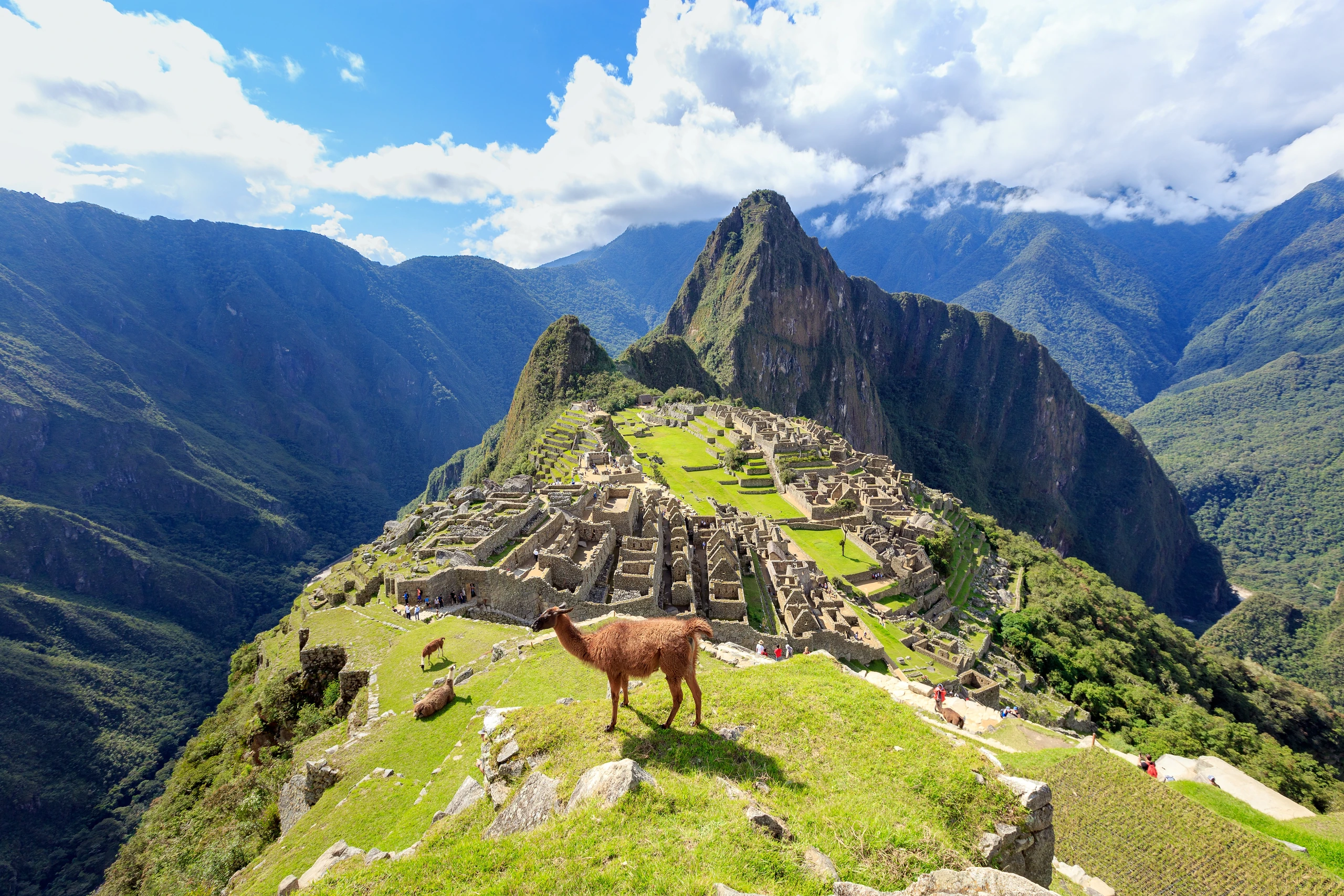 Machu Picchu