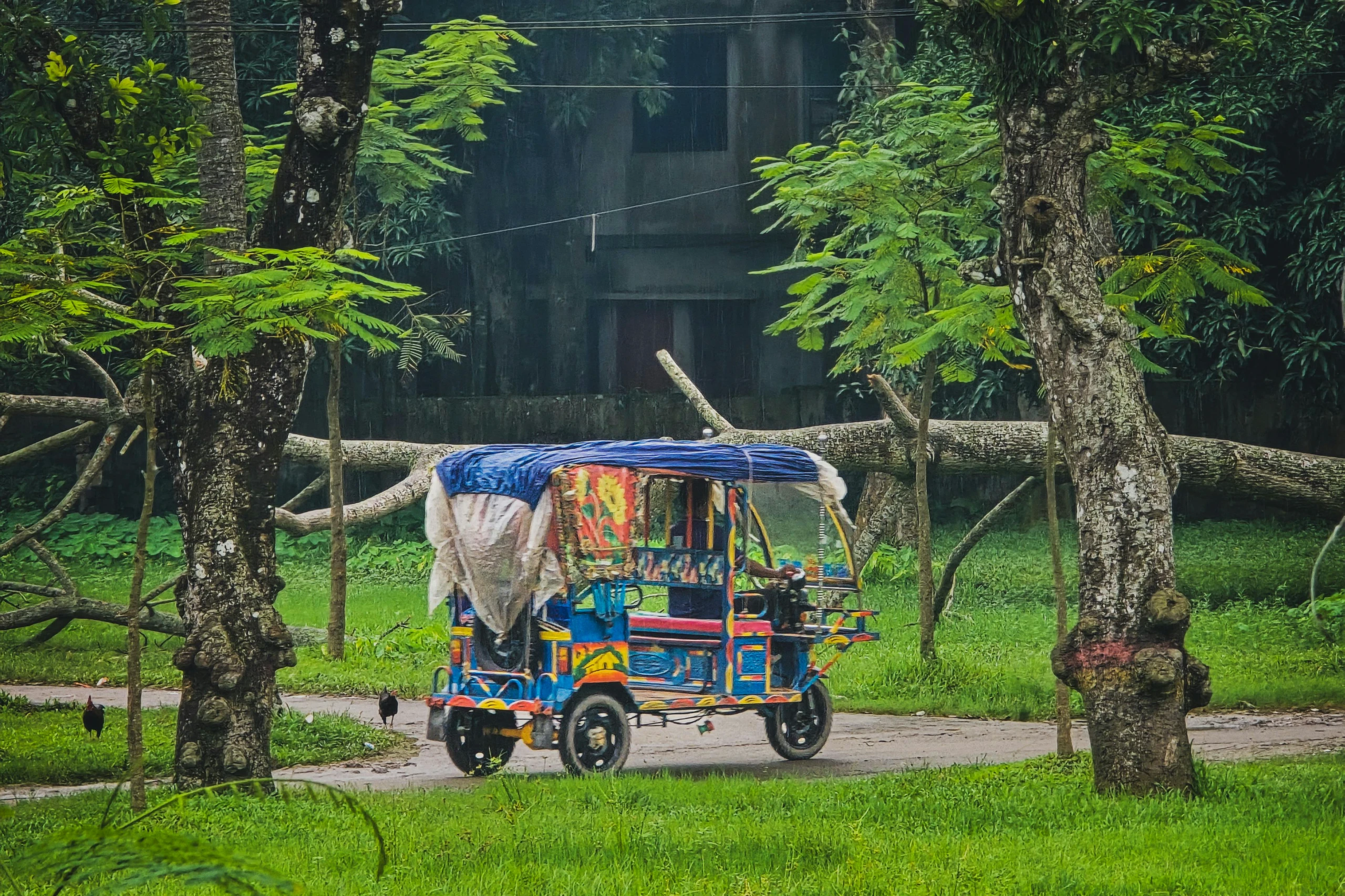 Paseo en rickshaw por Delhi