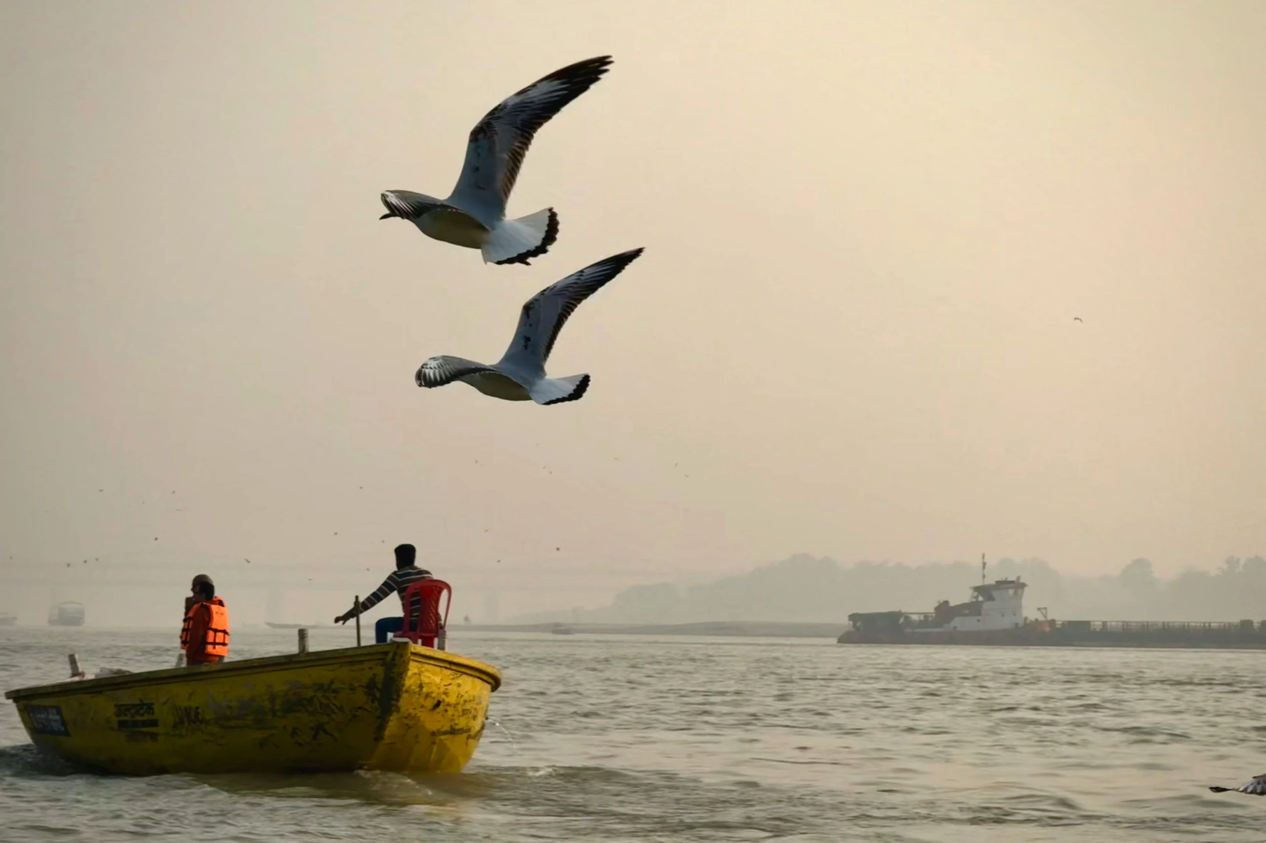 Paseo en barco por el Ganges al amanecer