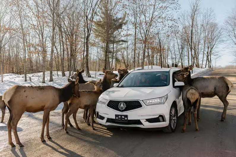 Parc Omega