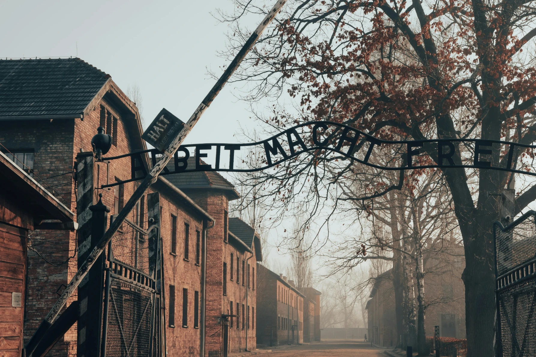 Auschwitz