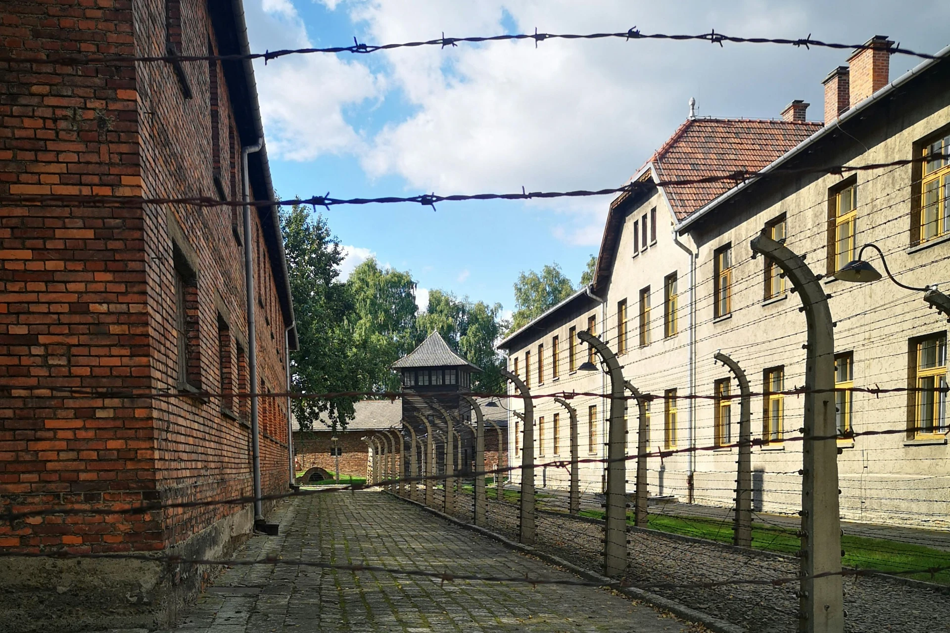 Visita a Auschwitz