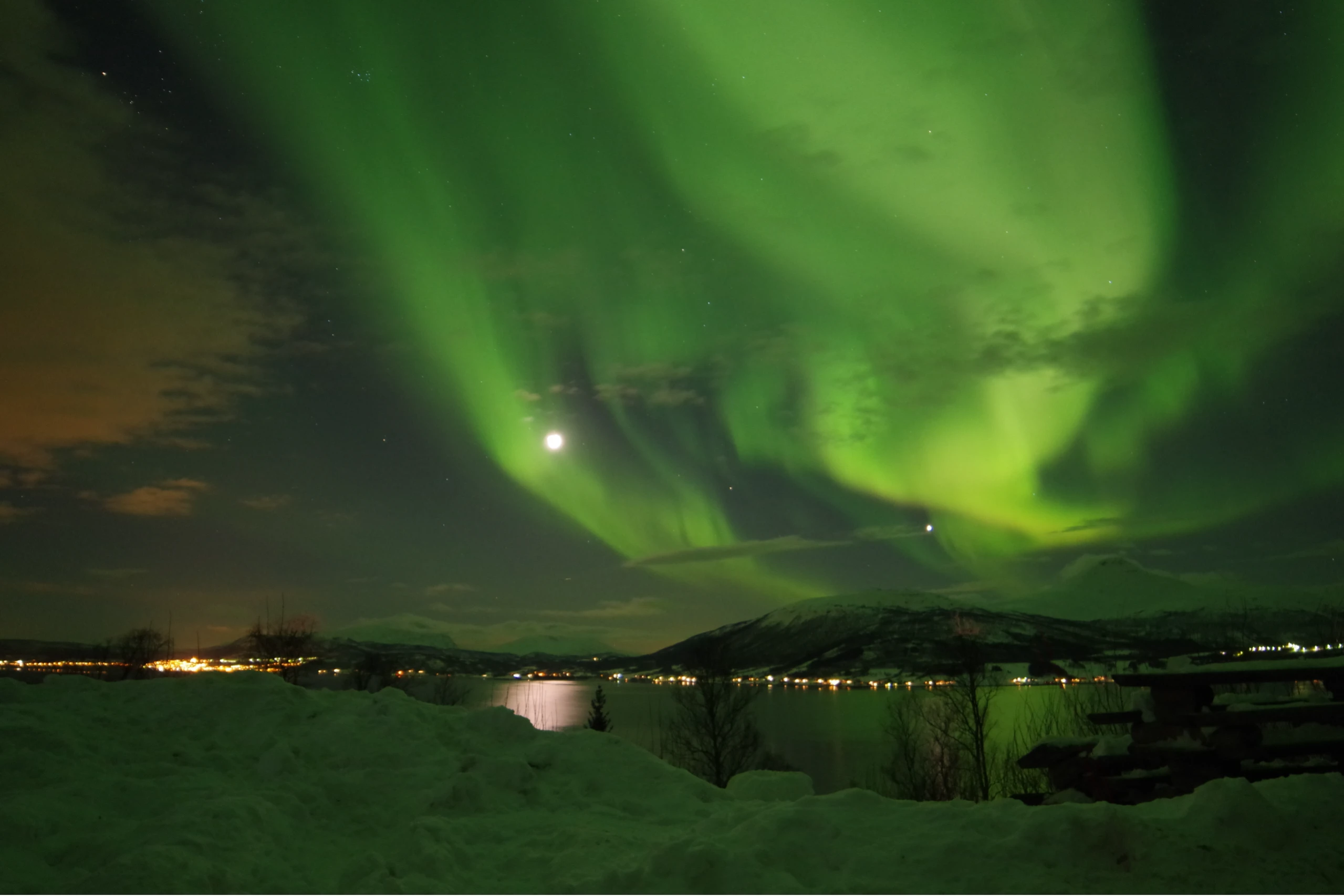 Safari Auroras Boreales
