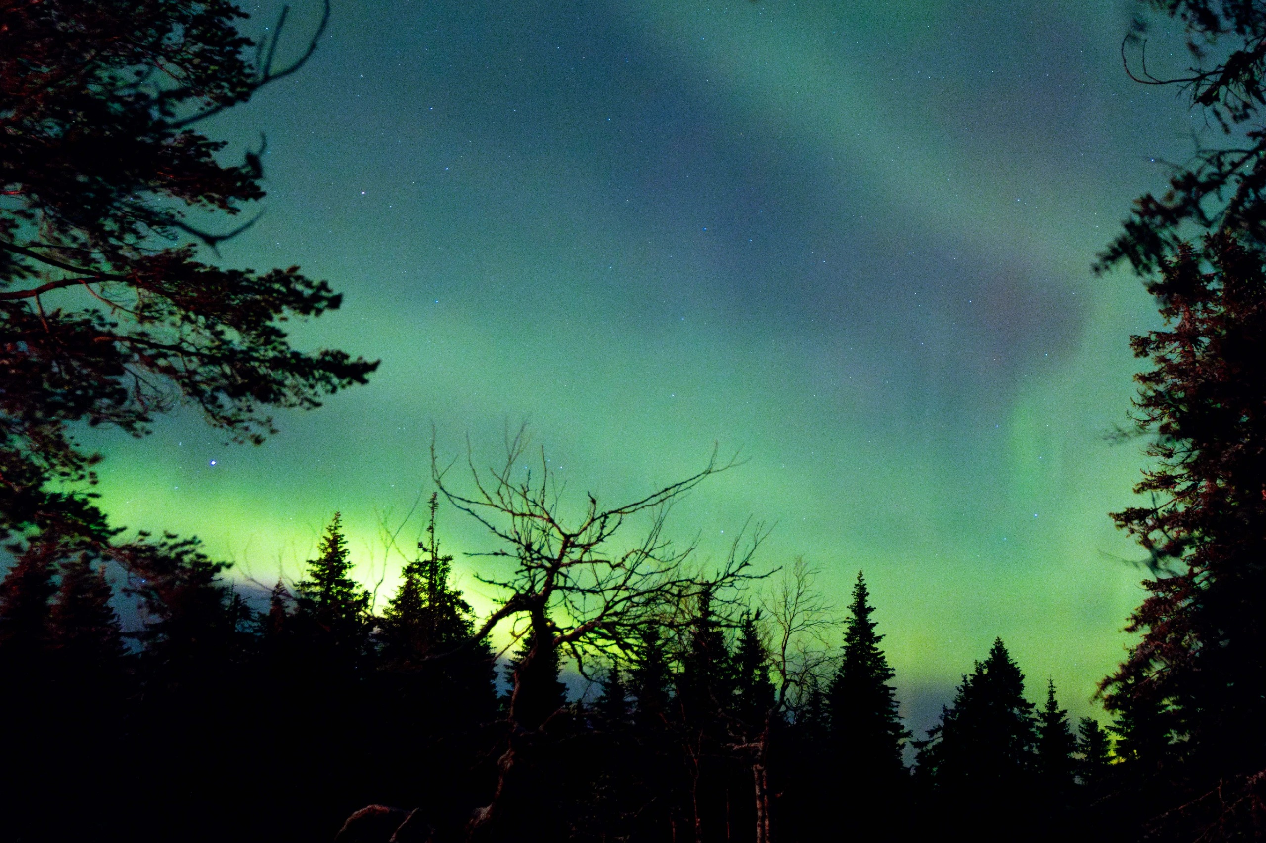 Raquetas de nieve y Auroras Boreales