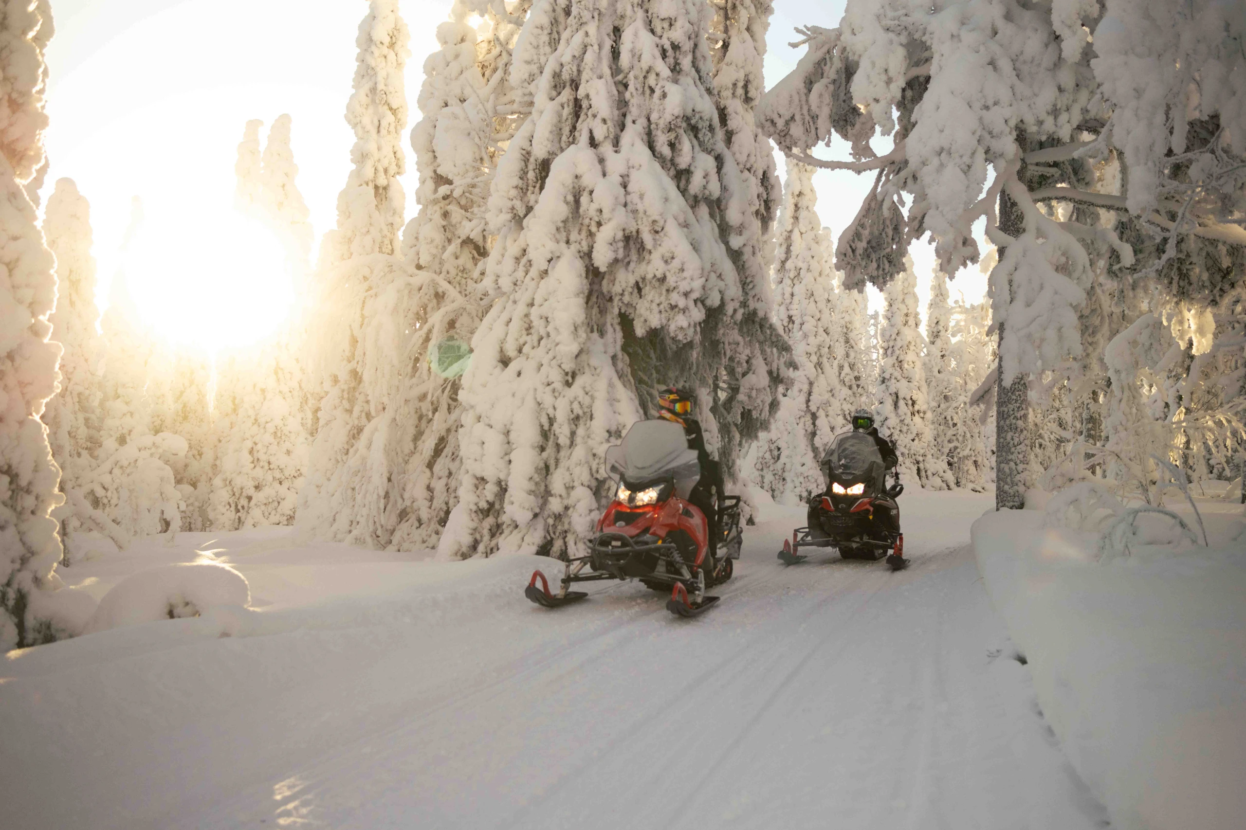 Safari en Motos de Nieve