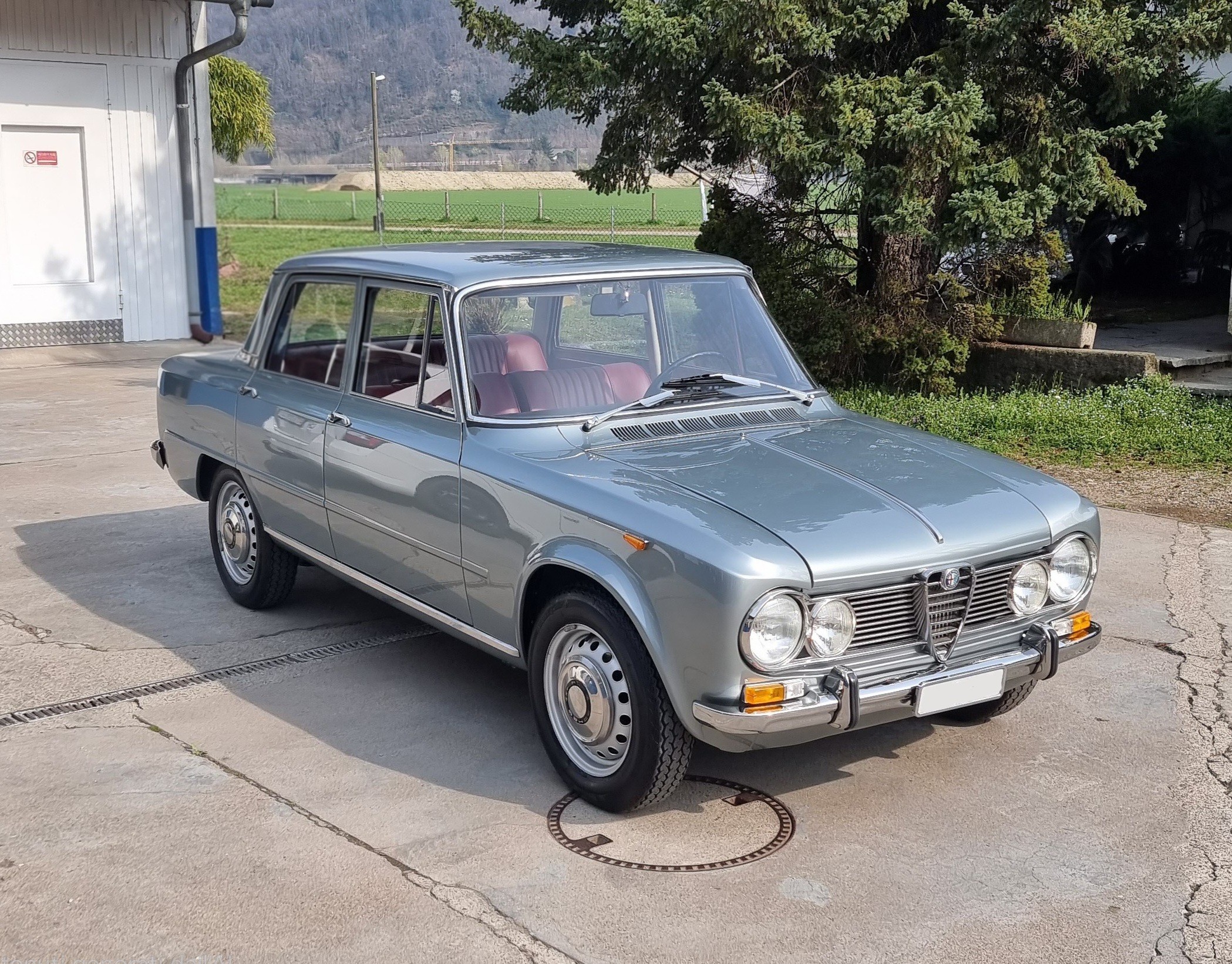 Alfa Romeo Giulia Super 1600 Bollino Oro