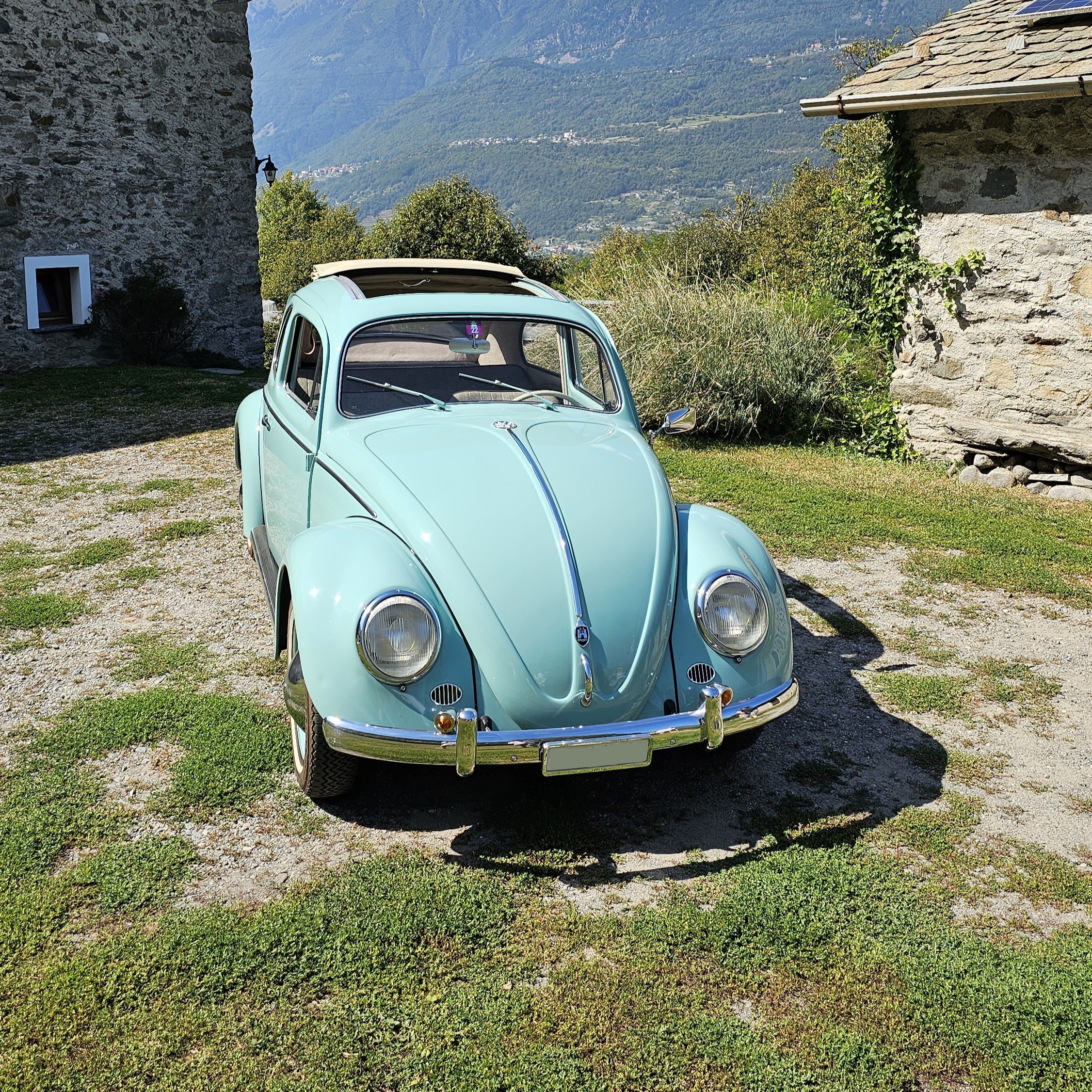 Volkswagen Maggiolino