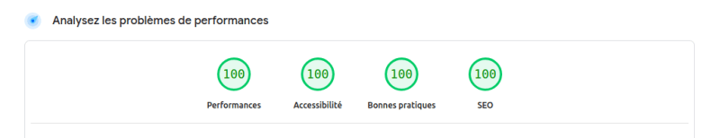 Capture d'écran d'un score PageSpeed parfait pour l'affichage sur ordinateur