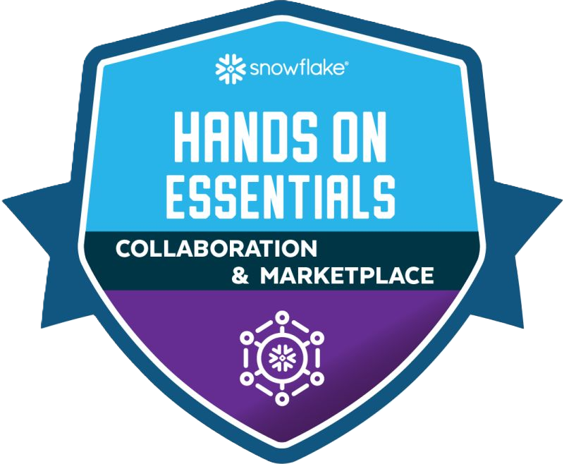 Snowflake Logo