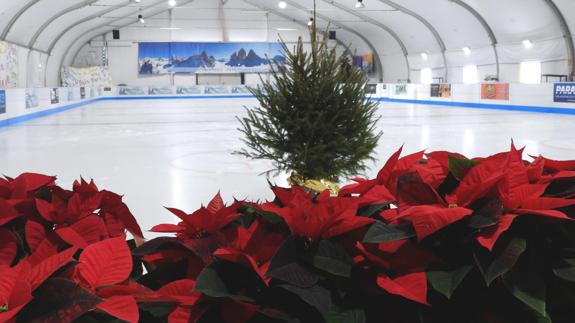 Festeggia l’8 dicembre e il 13 dicembre sulla pista di pattinaggio Paradice! - Paradice - Palaghiaccio Montichiari