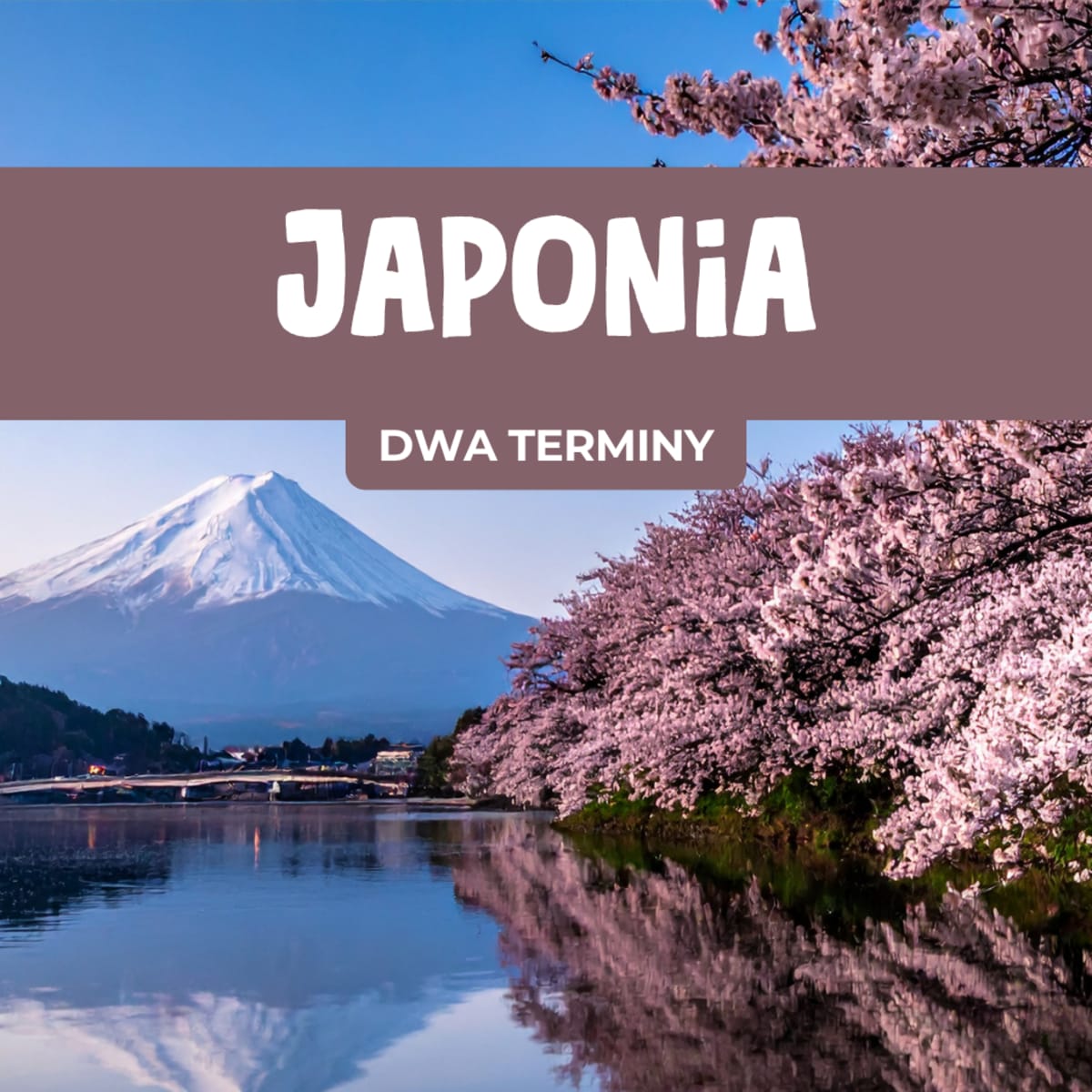 Japonia w czasie kwitnienia wiśni