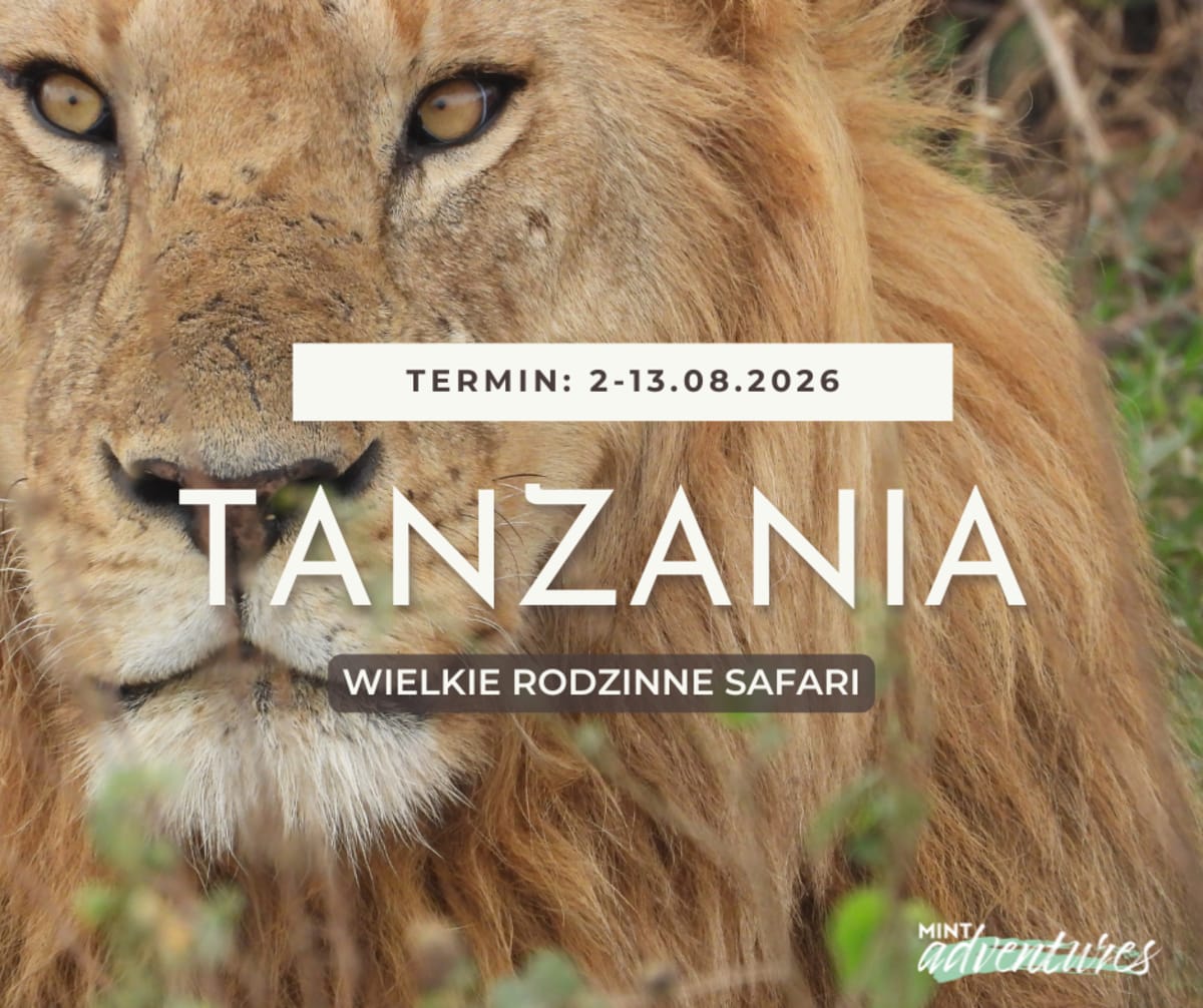 Rodzinne Safari 4x4 w Tanzanii