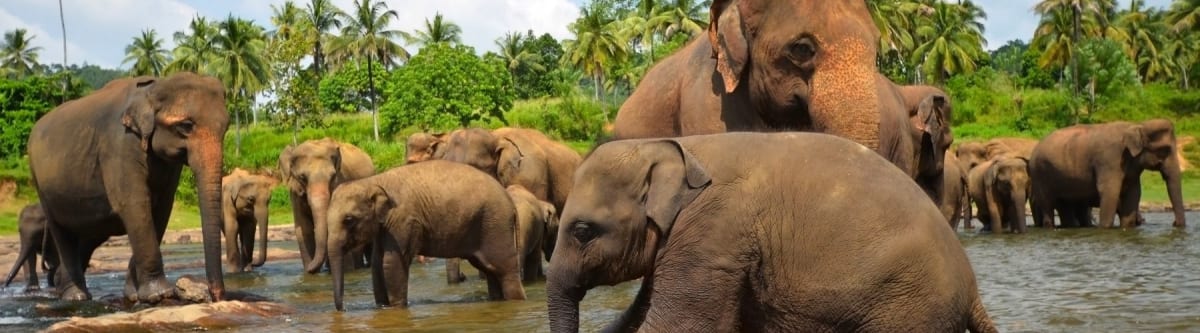 Sri Lanka – Sylwester na plaży 2026/27