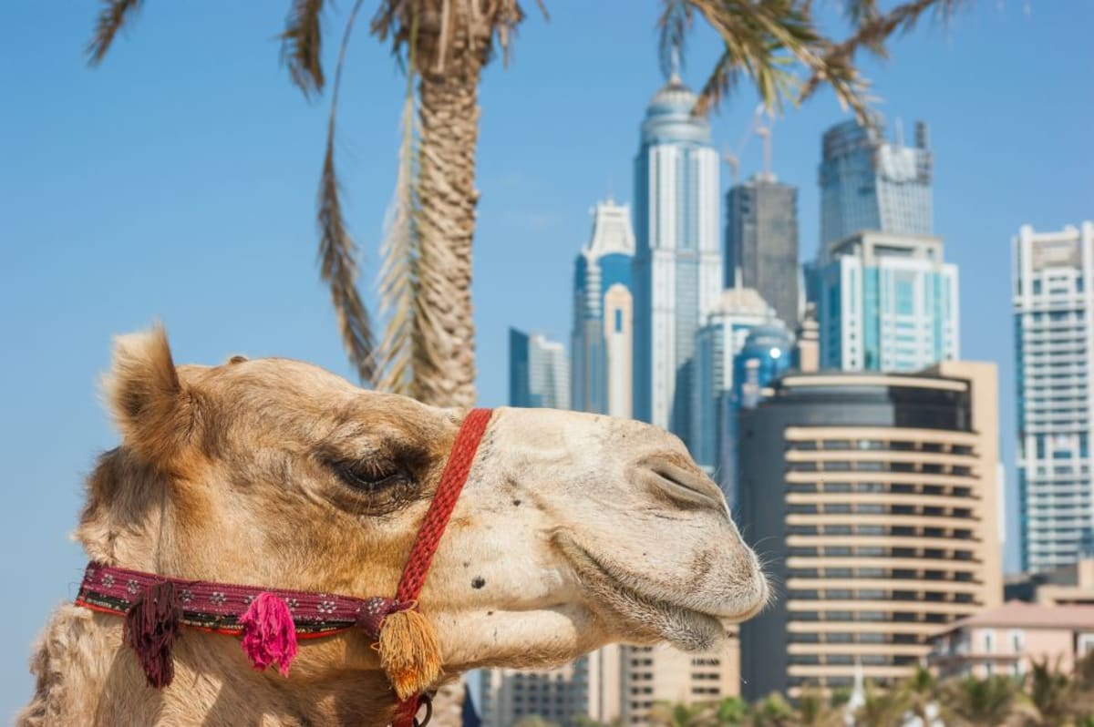 DUBAJ - zwiedzanie i wypoczynek