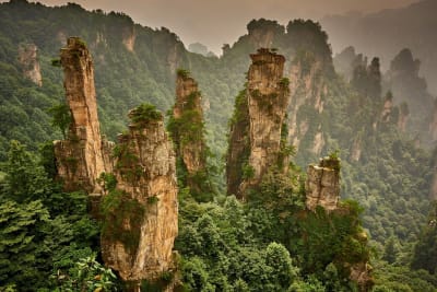 Chiny Zhangjiajie Avatar skały we mgle