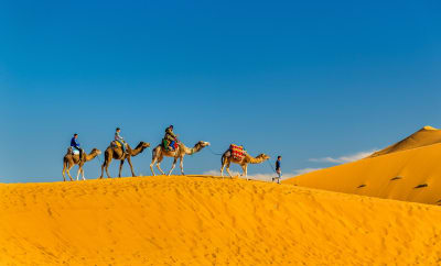 Maroko Sahara Merzouga wielbłądy Marrakesz Fez