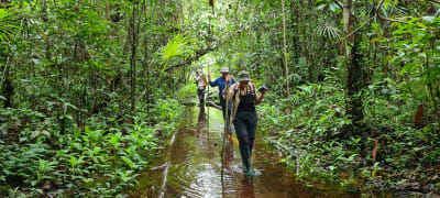 Amazonia dżungla Colombia Brazylia Peru