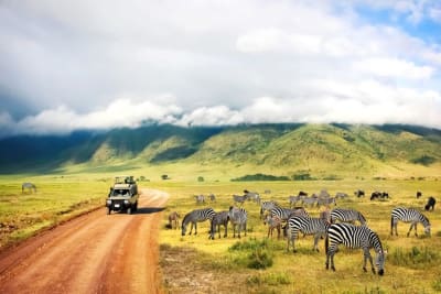 Tanzania parki narodowe Zanzibar