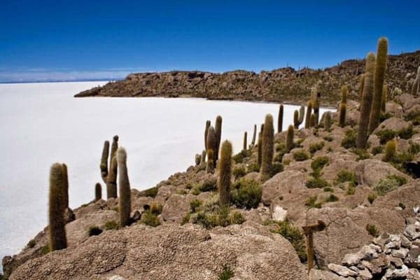 Andy Boliwia Peru trekking