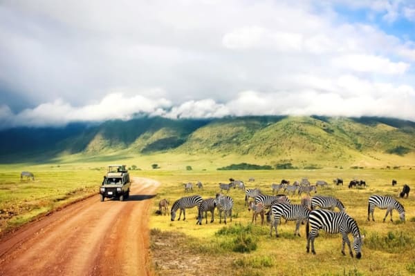 Tanzania parki narodowe Zanzibar safari