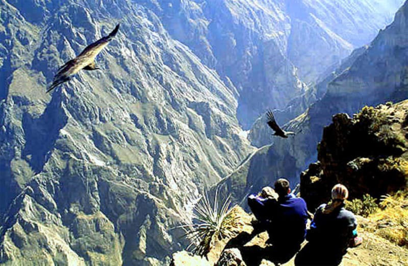 TRIP_DETAILS.PHOTO_DETAIL 1