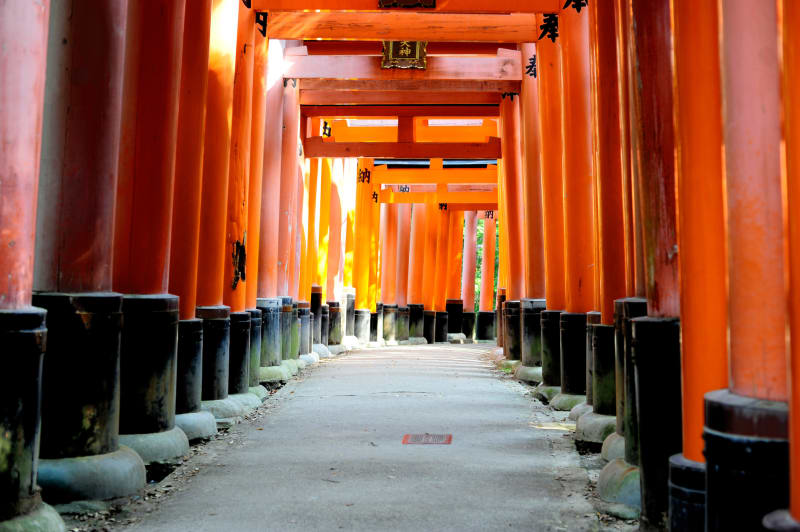 TRIP_DETAILS.PHOTO_DETAIL 1