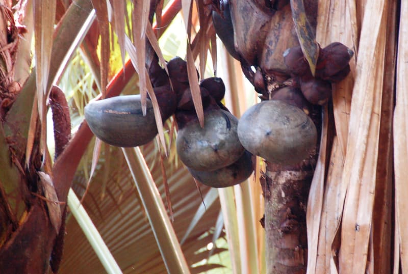 TRIP_DETAILS.PHOTO_DETAIL 2