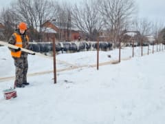 Лёд тронулся! Начались подготовительные работы на площадке, где будет ледовый дворец