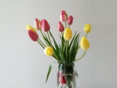 Кто из женщин прошлого и настоящего вас вдохновляет?