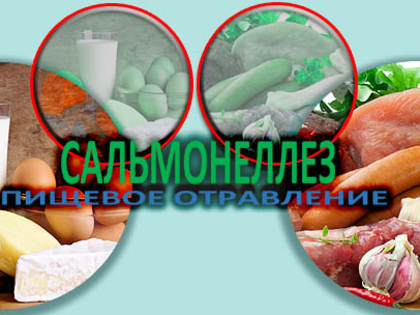 Будьте осторожны: сальмонеллёз