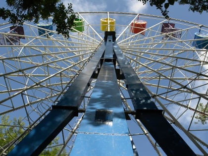 В парке Горького в Перми вырубят опасные деревья