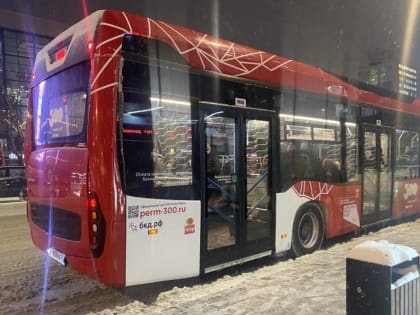 В Перми прокуратура проверяет факт того, что ребенка высадили из автобуса за неуплату проезда
