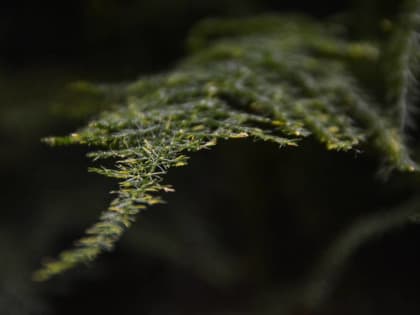 ​Участки в долине реки Уинки в Перми перешли в пользование муниципального учреждения