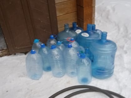На родник за крещенской водой