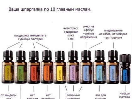 Новые возможности для бизнеса в Москве